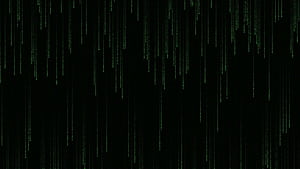 Coding, Dark Coder HD wallpaper