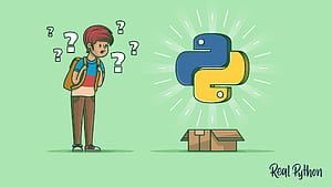 Python Learning Paths, Python Developer HD wallpaper