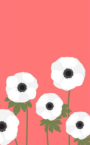 Basic Spring HD phone wallpaper