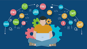 Programming Languages to Learn Alongside SQL, Python Developer HD wallpaper