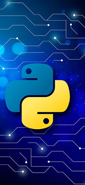 Python HD phone wallpaper