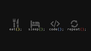 Programmer Programming Technology Code, Developer HD wallpaper