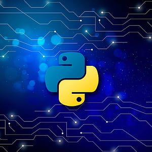 Python HD phone wallpaper