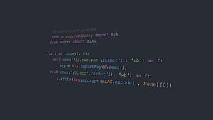 Python Programming Syntax , python, code, computer, programming, syntax HD wallpaper