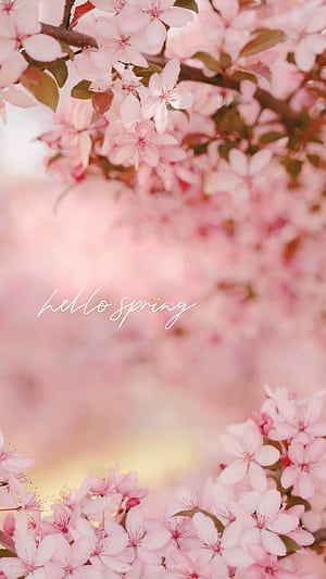 Basic Hello Spring HD phone wallpaper