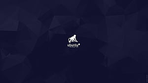 Exploit . Exploit , Exploit Roblox and Computer Exploit, Metasploit HD wallpaper