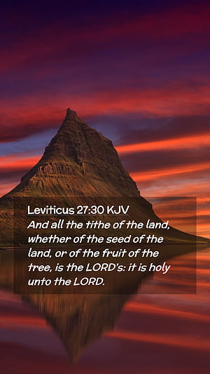 Tithe HD phone wallpaper