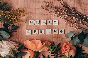 Basic Hello Spring HD wallpaper