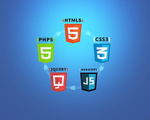 Develop and design website using php html css javascript and wordpress, HTML CSS JS HD wallpaper