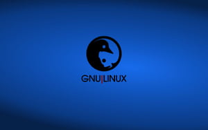 GNU, GNU Linux HD wallpaper