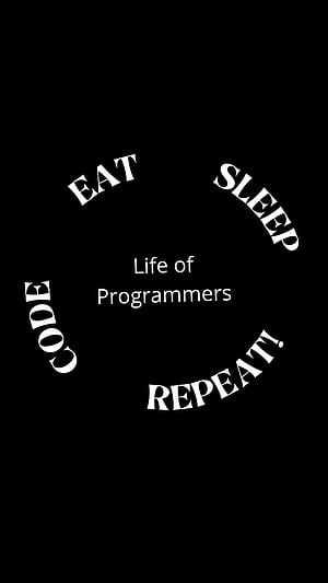 Programmer, coding, coders, programmers HD phone wallpaper